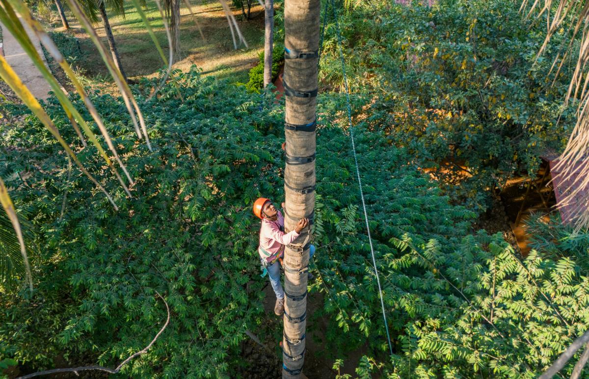 Adventure Activities