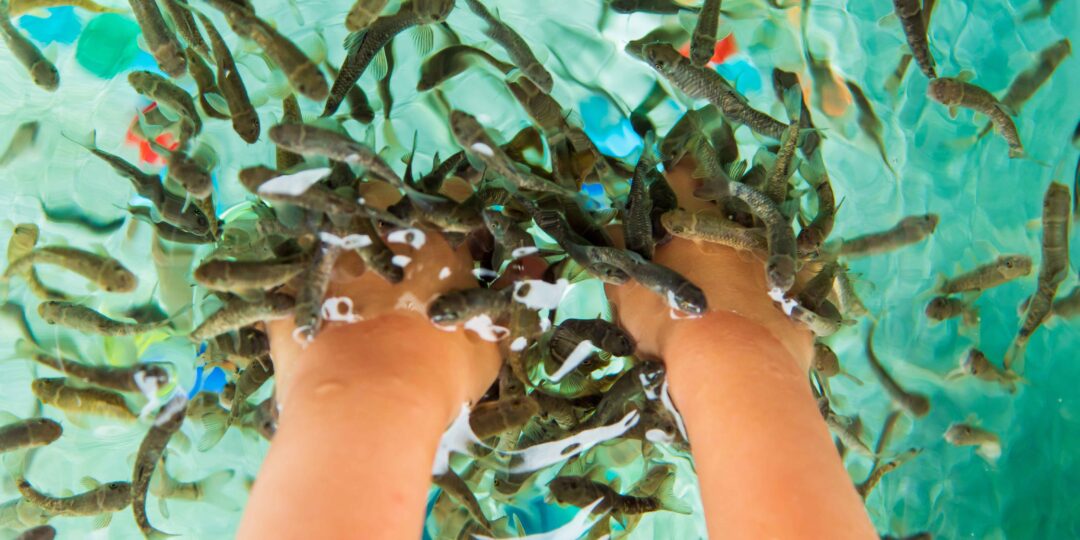 This Is What A Fish Spa Pedicure Is Really Like - La Jolla Mom